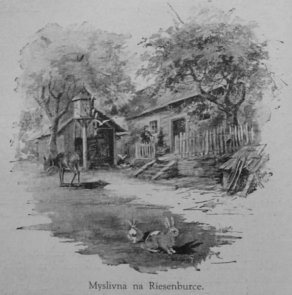 Babička