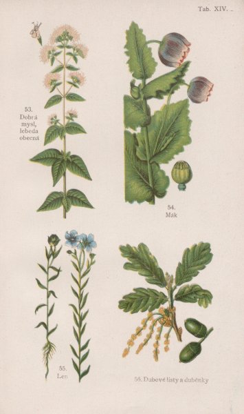 14